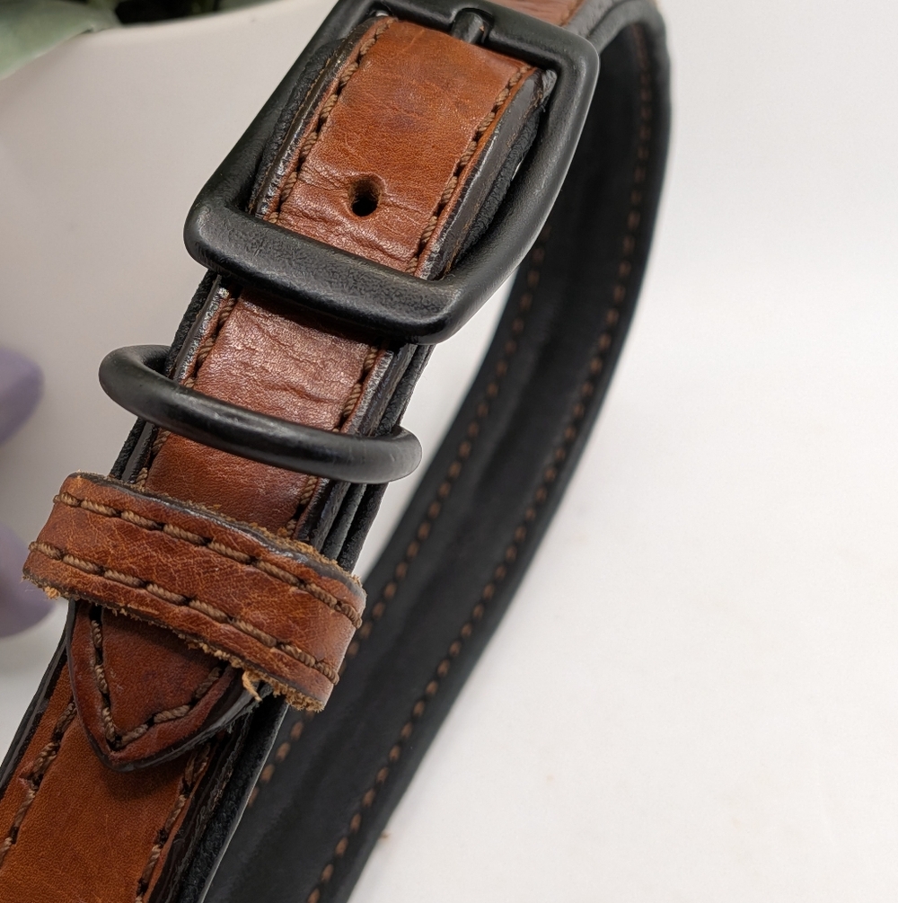Tasman 16" Leather Dog Collar